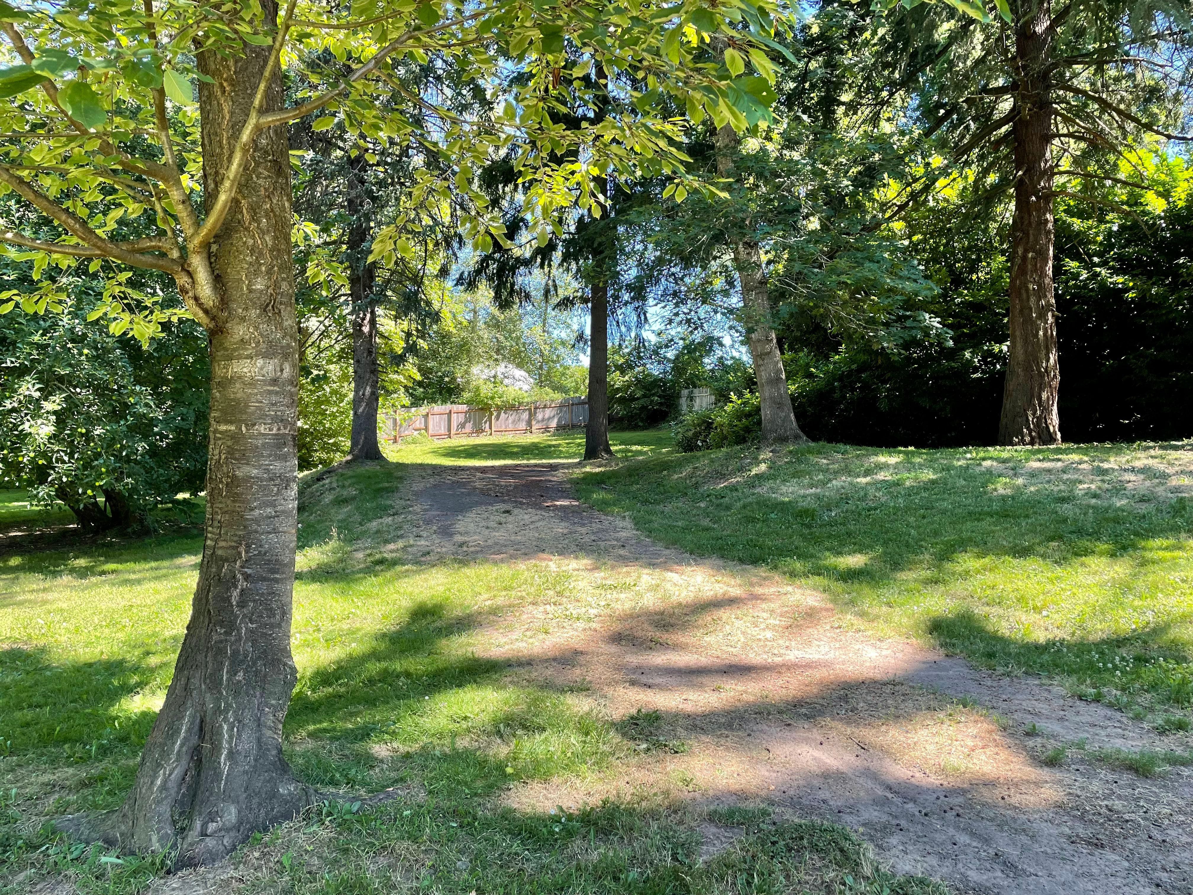 An old dirt road leads up a grass and tree covered hill.