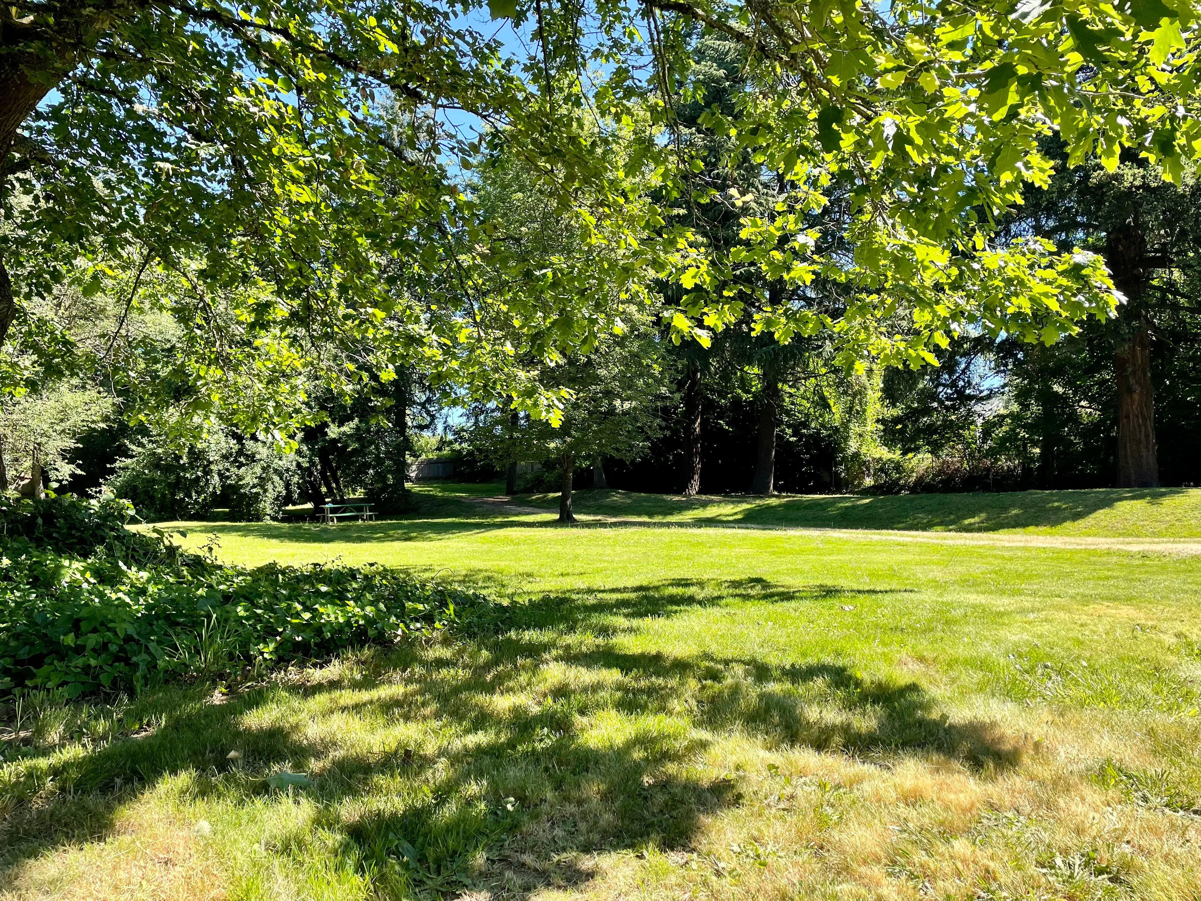 Grassy field with large trees and a picnic table in the background