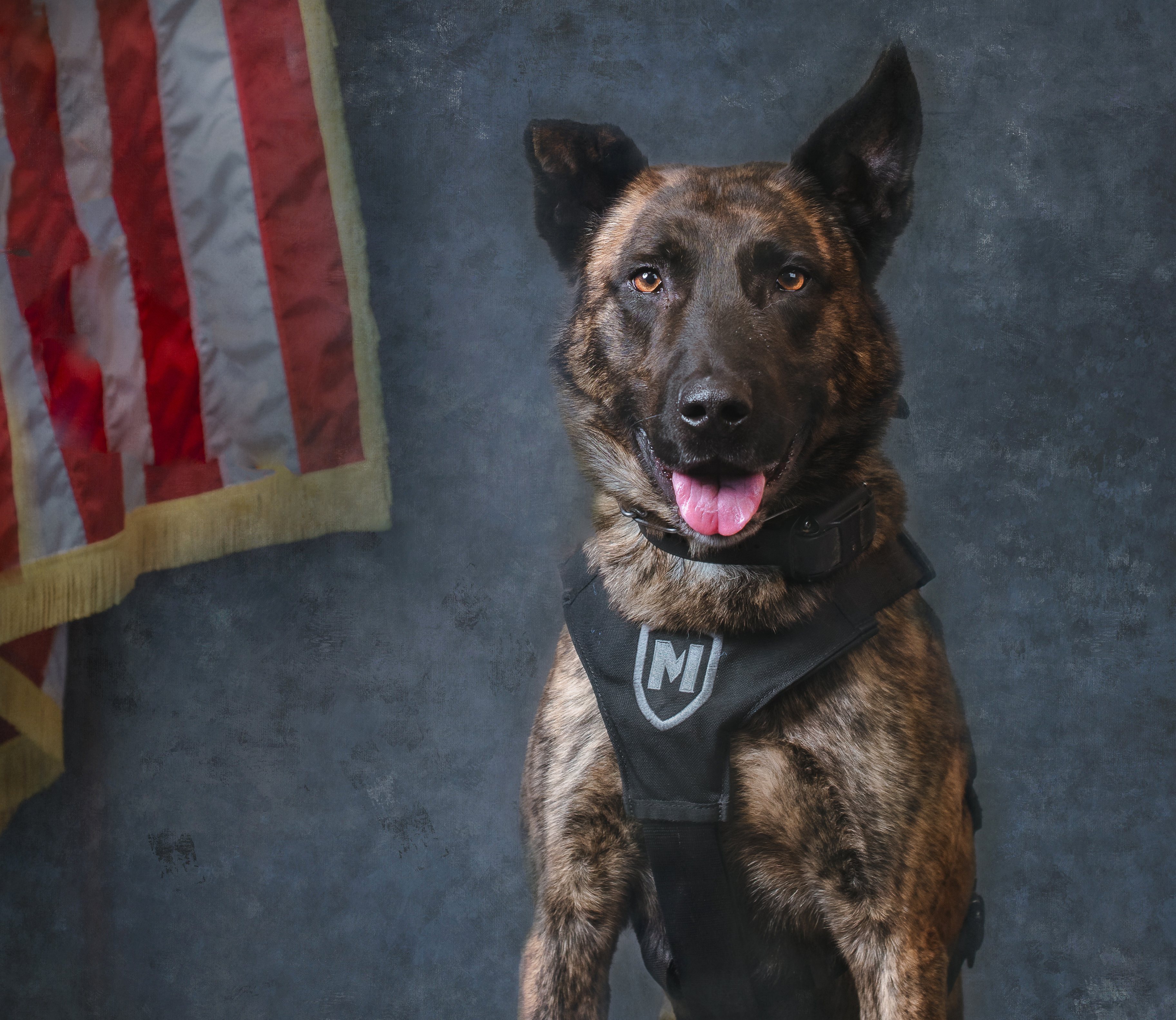 Portrait of MPD K9 Benz