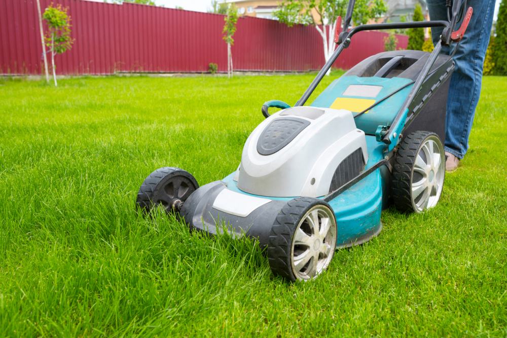 Image of electric lawn mower being pushed through a grass lawn