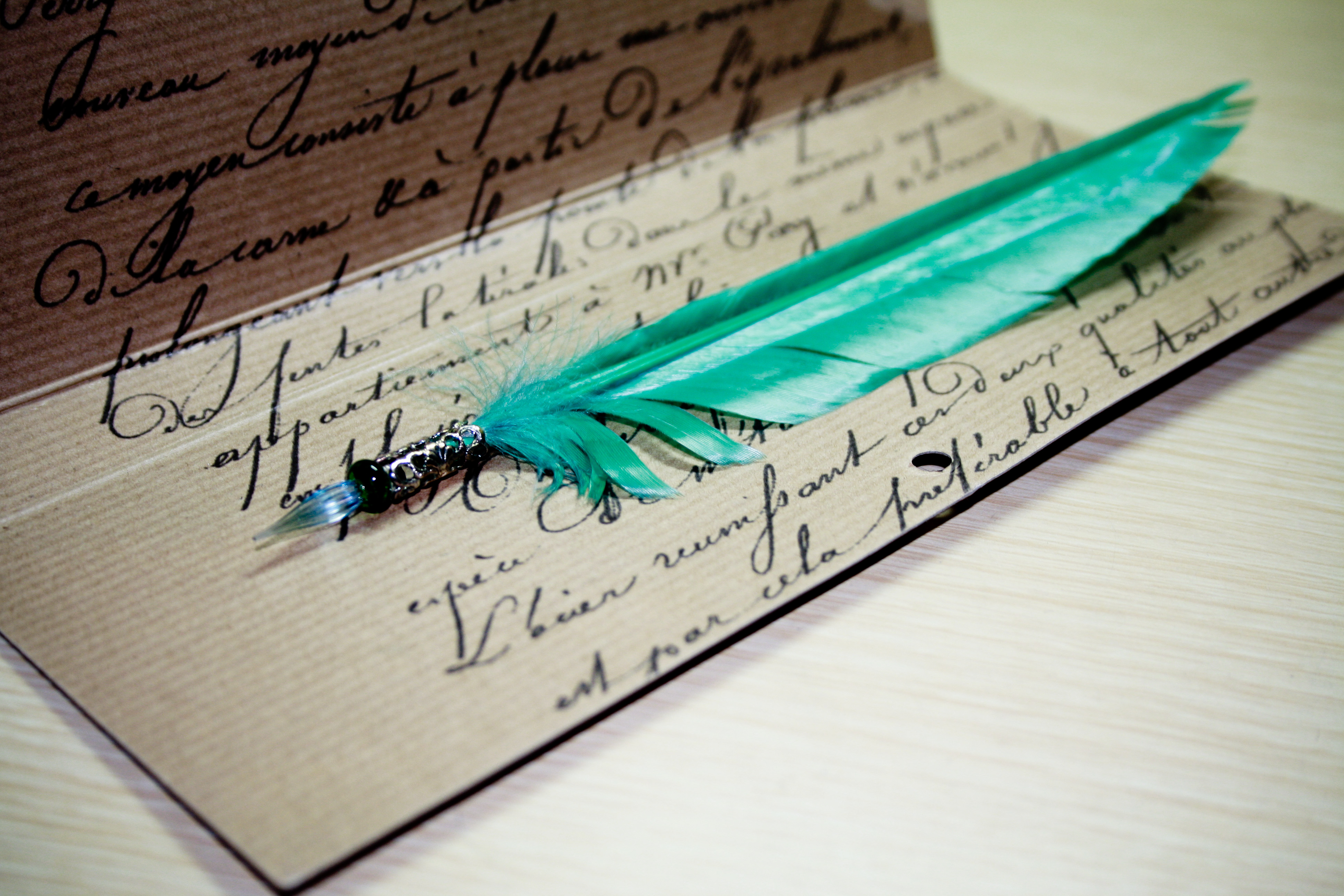 teal quill writing feather