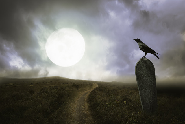 crow sitting on spooky grave
