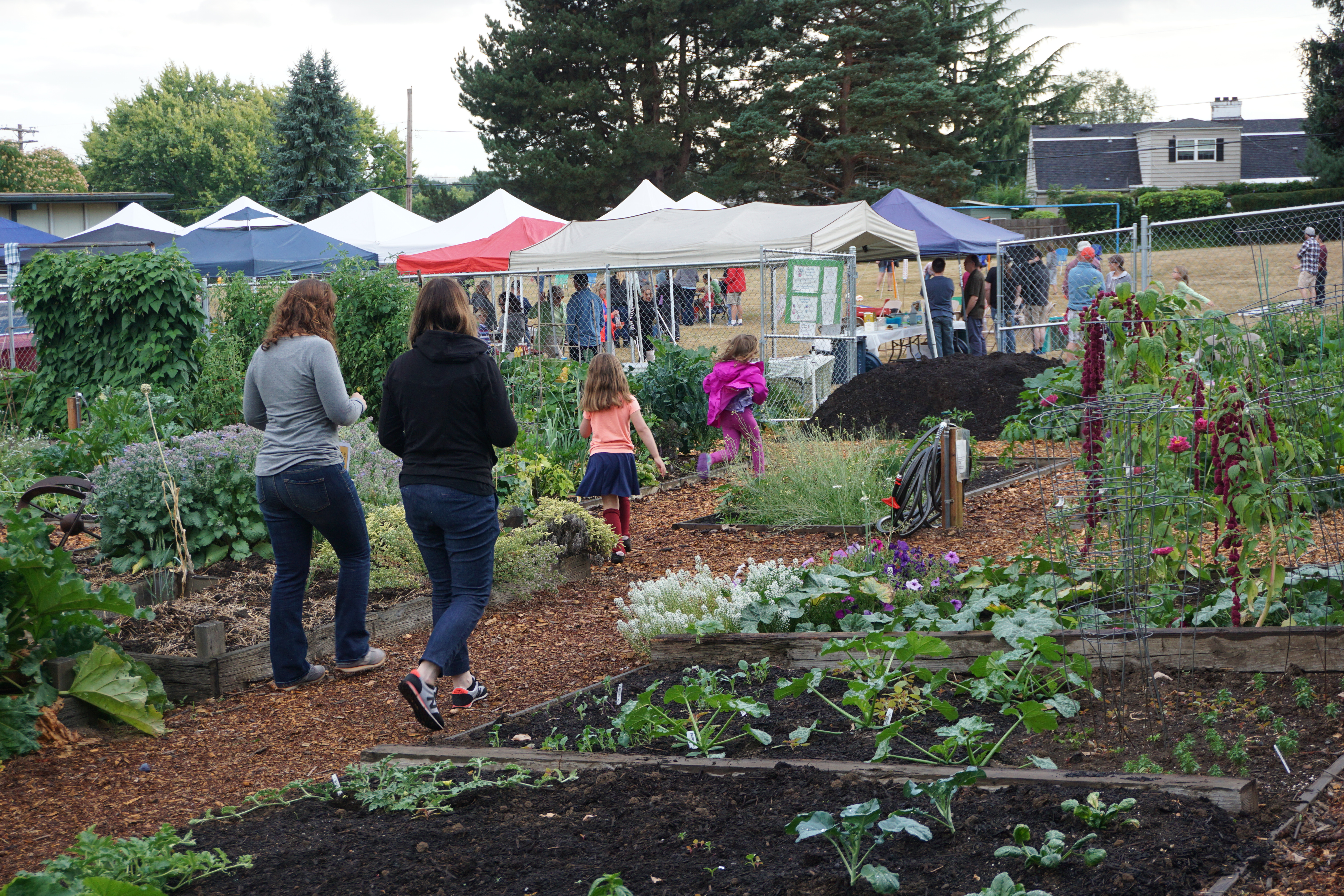 Hector Campbell Community Garden