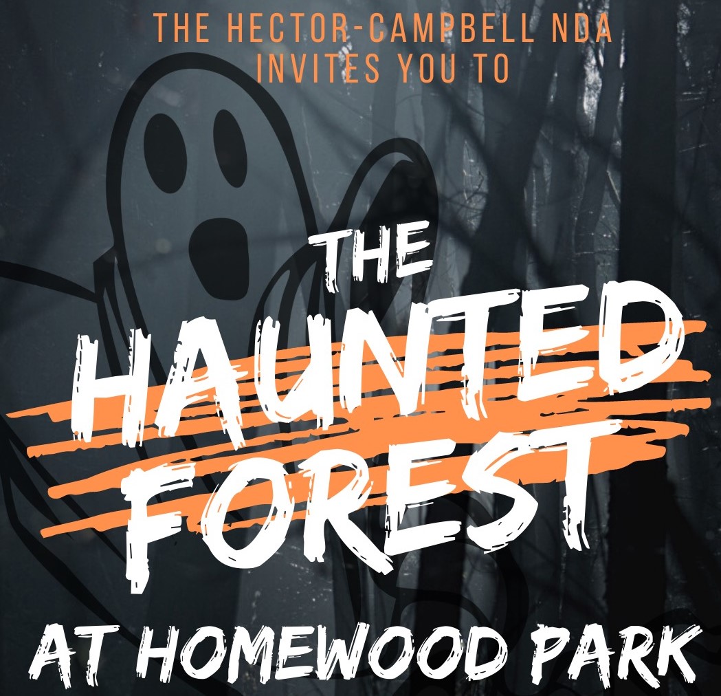 The Haunted Forest