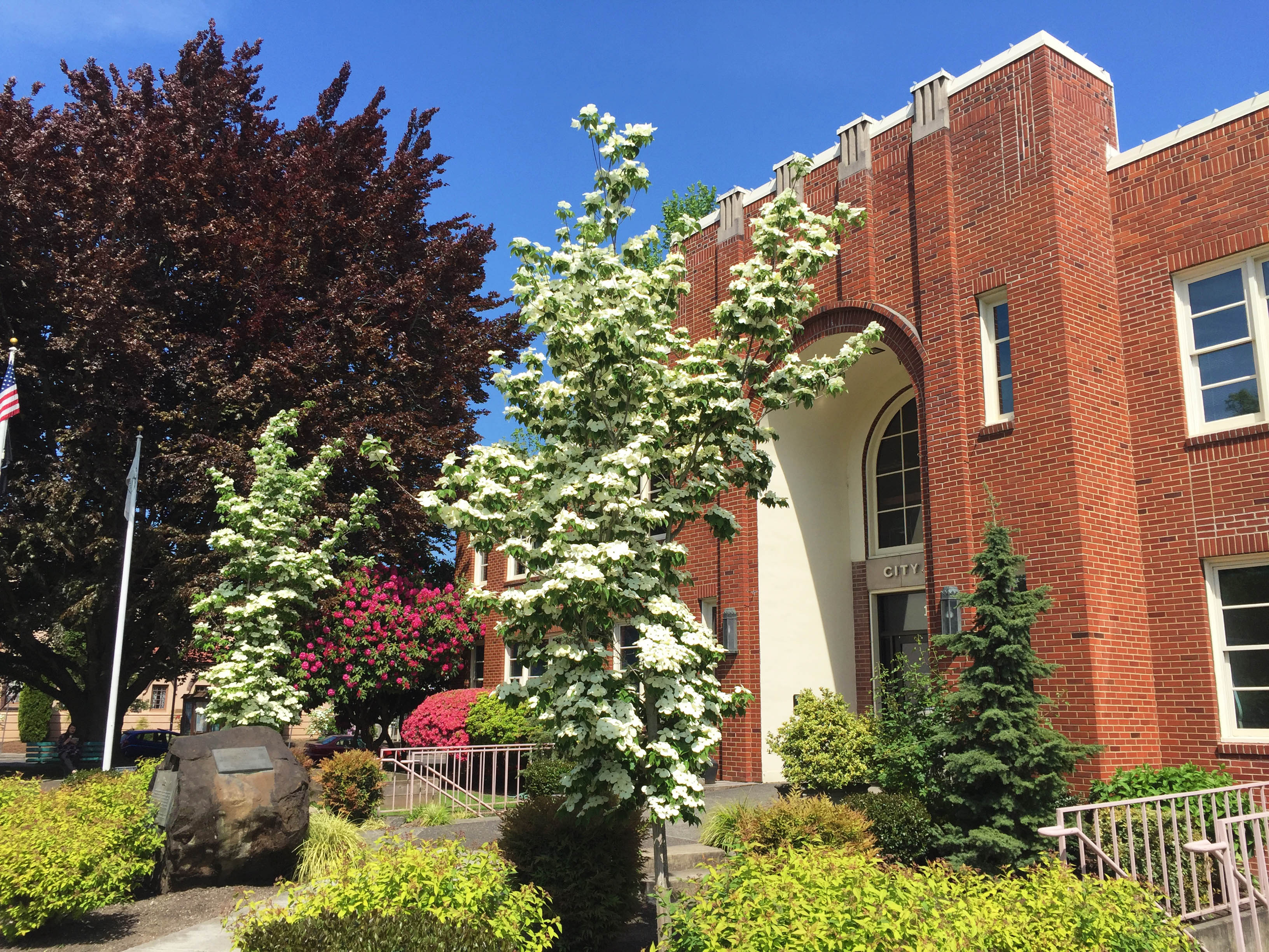 City Hall in the Spring