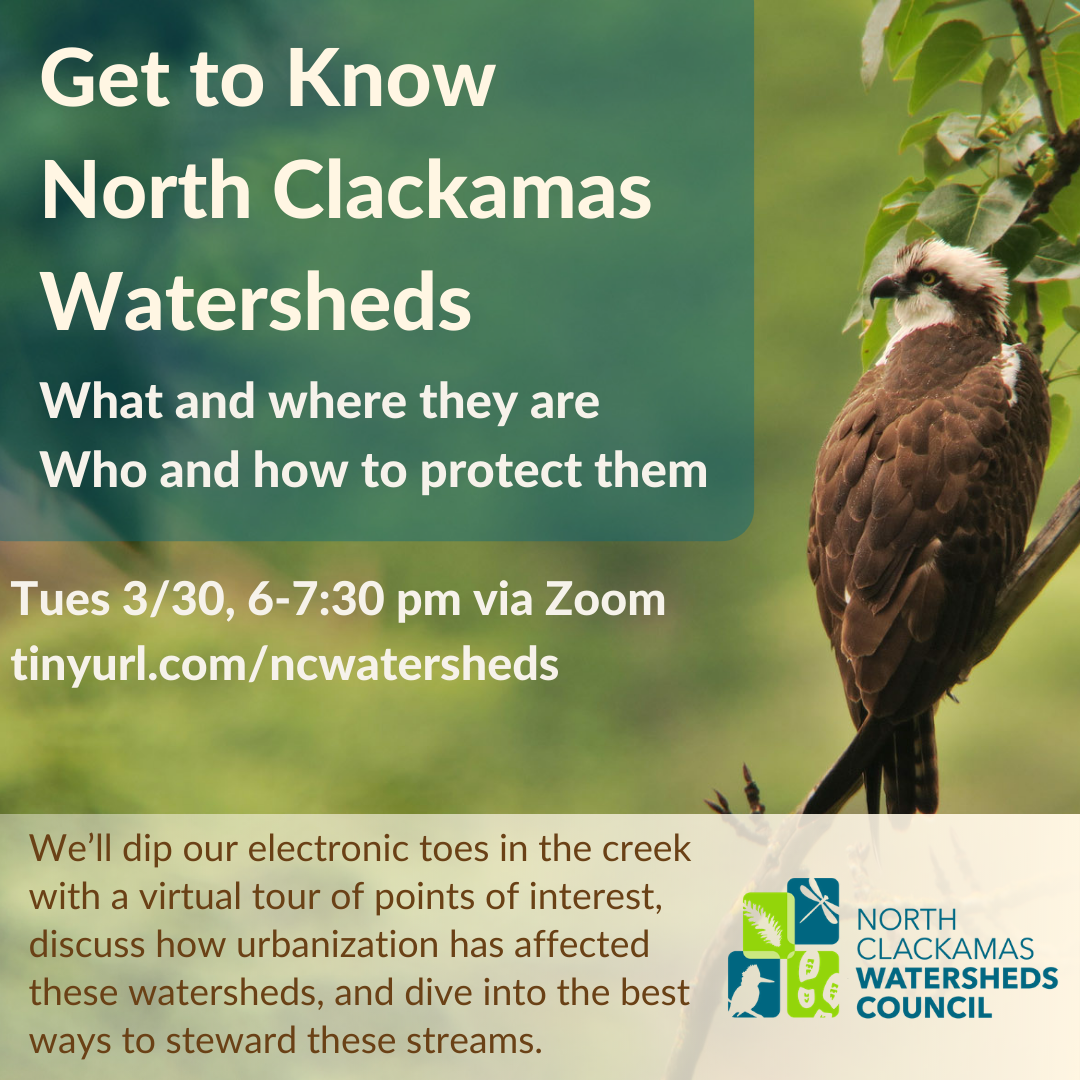 NCWC Get to Know North Clackamas Watersheds City of Milwaukie