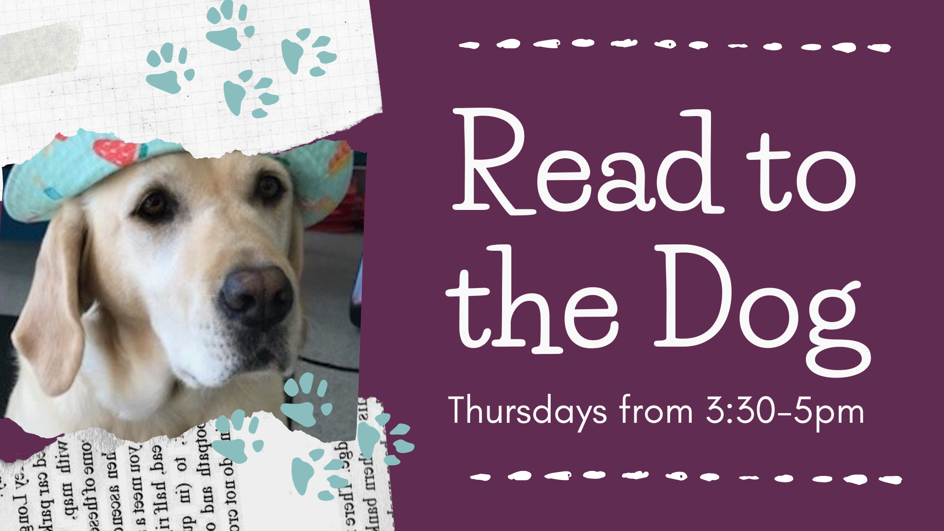 Read to the Dog