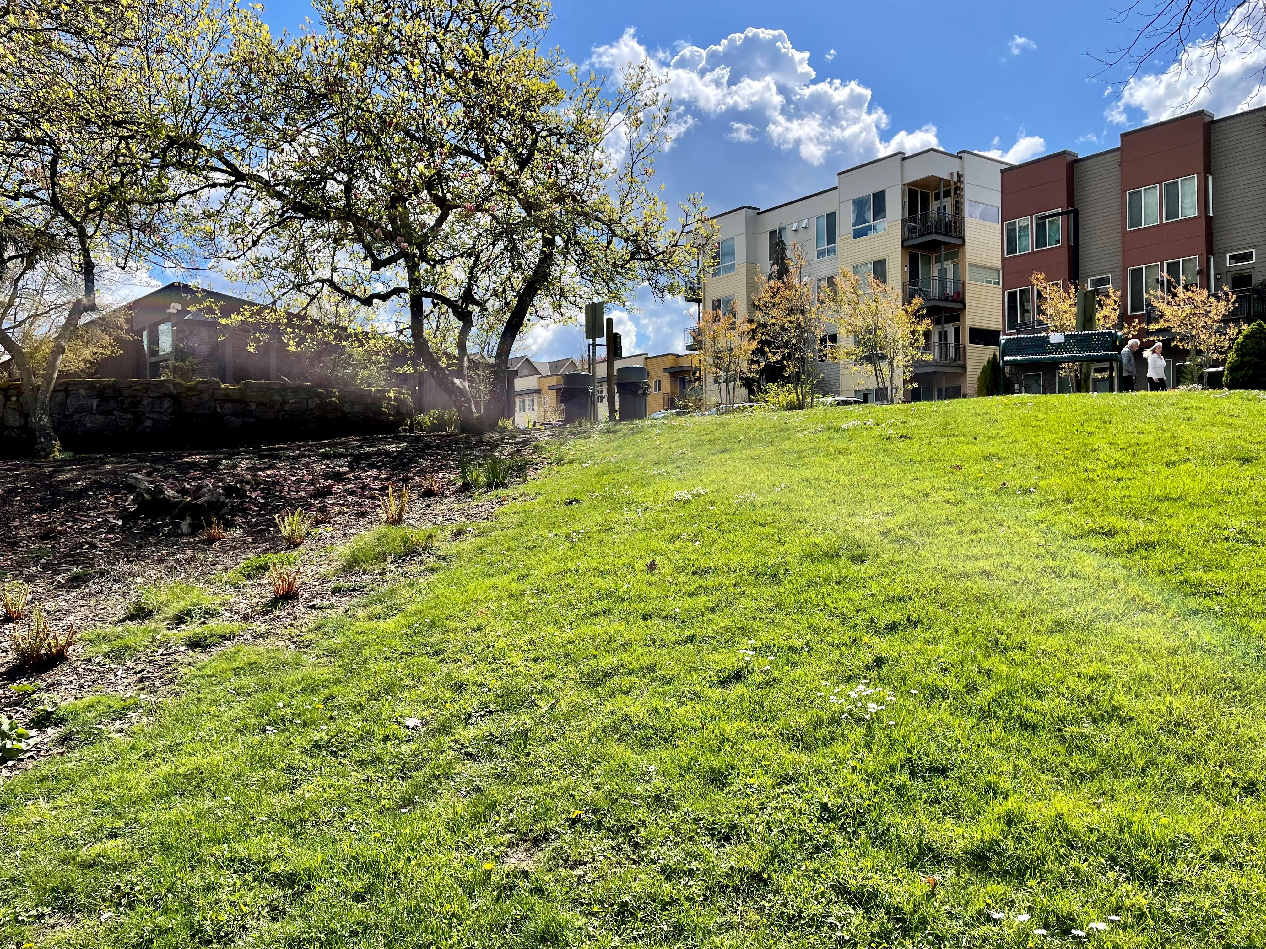 Grassy Hill with apartments and blue ski on the horizon. 