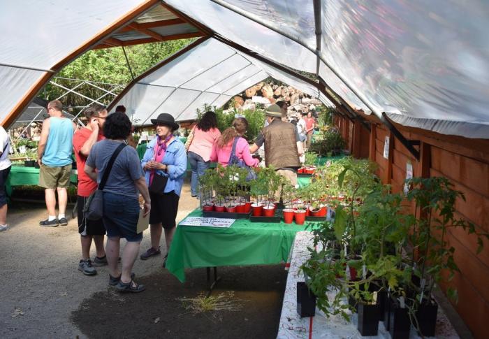 Plant Sale