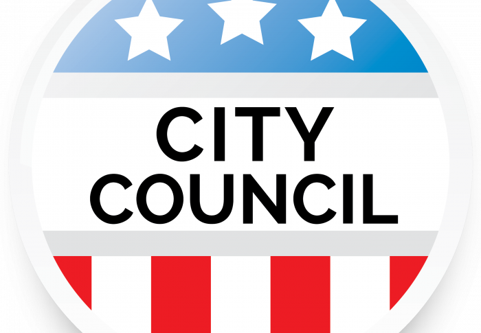 campaign button with text that says city council