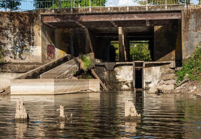 kellogg dam view of fish ladder