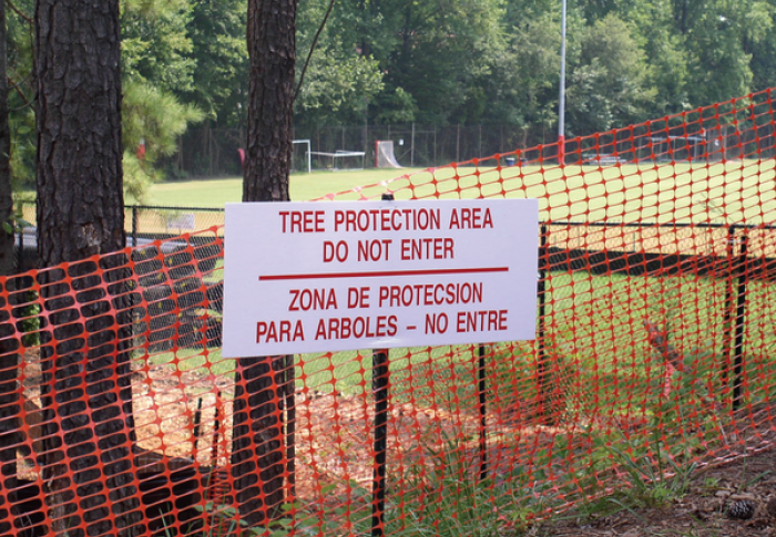 Tree protection zone