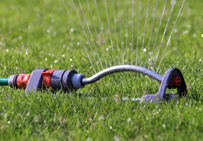 lawn with sprinkler