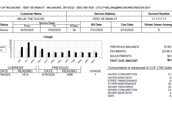 new utility bill example