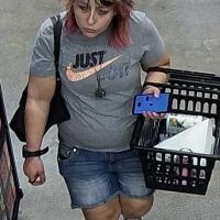 theft suspect