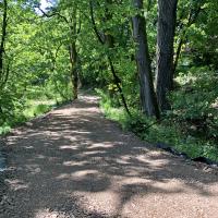 Park Path