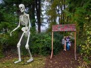 Hector Campbell Haunted Forest Event 2024