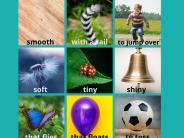 Scavenger hunt: can you find something...smooth, with a tail, to jump over, soft, tiny, shiny, that flies, that floats
