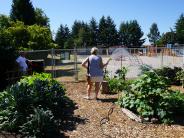 Campbell Community Garden beds