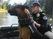 Training on the water with K9 Bo