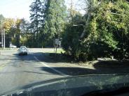 Vegetation Blocking Bike Lane and Traffic Sign 