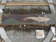 Plaza Fish Mosaic Installation Aerial
