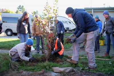 Volunteers planting a tree at Arbor Day 2023. 