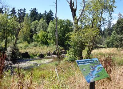 Tideman-Johnson Park Natural Area