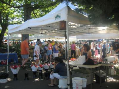 City of Milwaukie Oregon Official Website