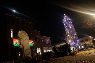 City Hall and Tree 