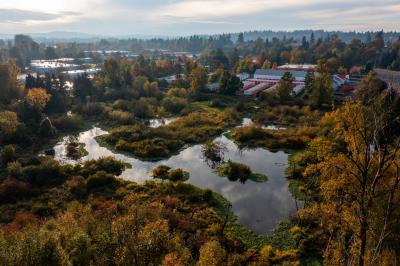 Aerial view of Minthorn Wetland