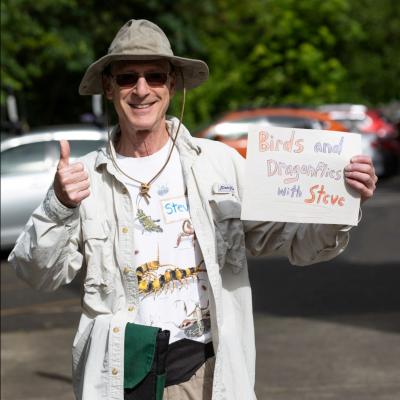 Volunteer at Bioblitz