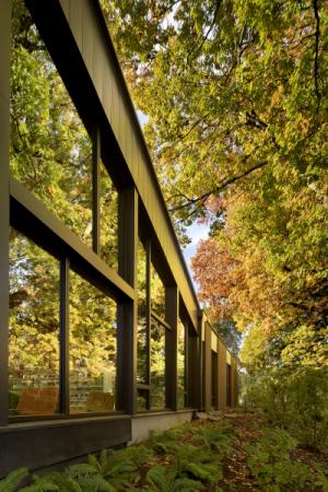 library exterior and trees