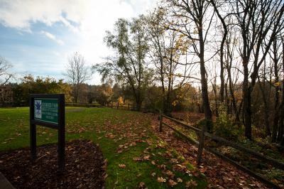 Dogwood Park - Autumn