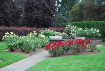 Sara Hite Memorial Rose Garden