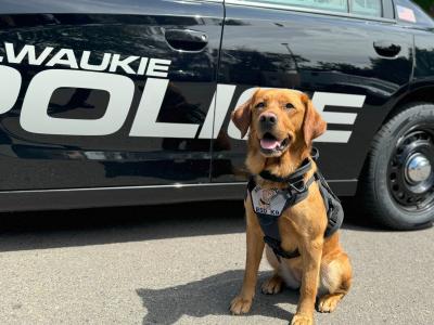 k9flora