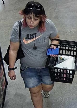 theft suspect