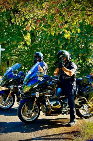 bikes