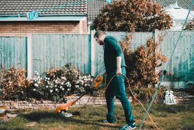 Photo - Yard Maintenance - Image by Lisa Fotio