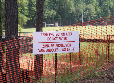 Tree protection zone
