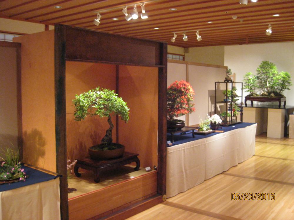 Bonsai Jamboree City Of Milwaukie Oregon Official Website