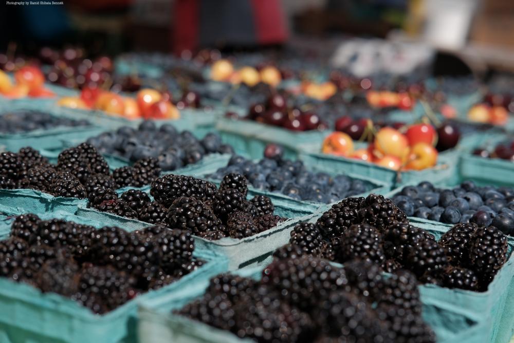 Farmers Market City of Milwaukie Oregon Official Website