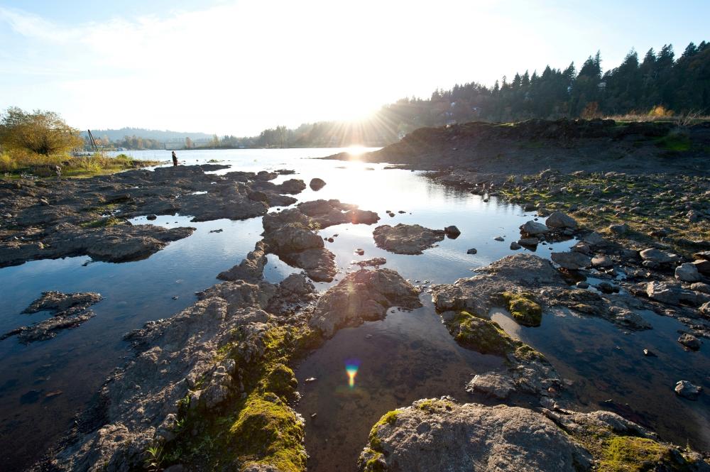 elk rock island city of milwaukie oregon official website