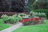 Sara Hite Memorial Rose Garden